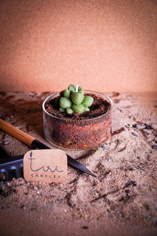 Plantuary